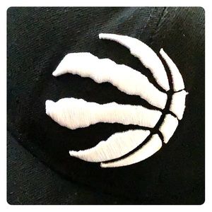 Raptors cap